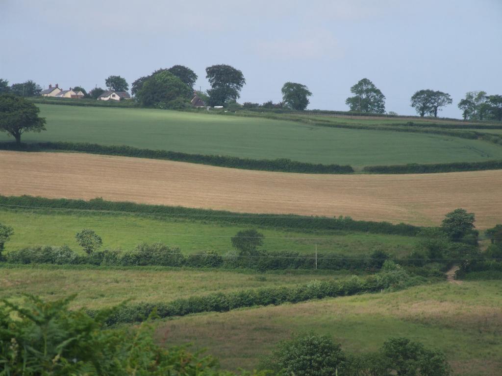Petrock Holiday Cottages Newton Saint Petrock Exteriér fotografie